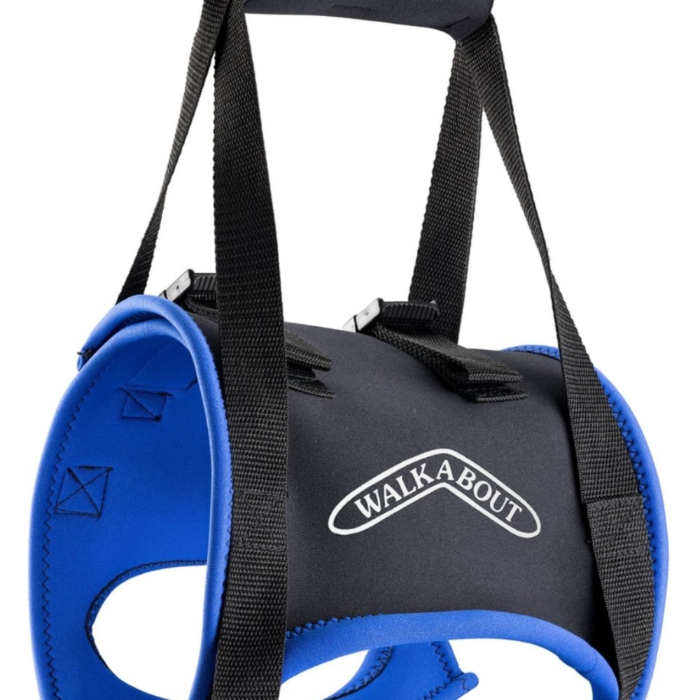 Blue and Black Dog Mobility Harness